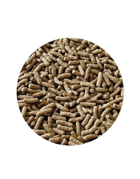 Pond Granulat Havuz Balığı Yemi 170gr 1000ml