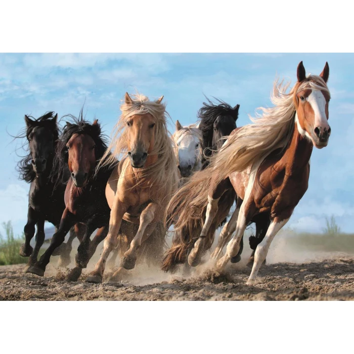 Trefl Puzzle Galloping Horses 1000 Parça