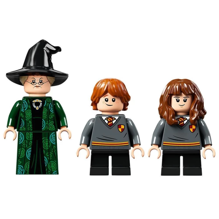 Lego Harry Potter Hogwarts Anısı: Biçim Değiştirme Dersi