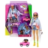 Barbie Extra Renkli Örgü Saçlı Bebek