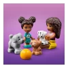Lego Friends Evcil Hayvan Oyun Parkı 41698