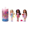 Barbie Color Reveal Renk Değiştiren Sürpriz Chelsea Piknikte HLF8