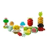 LEGO Duplo İlk Organik Bahçe 10984