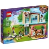 Lego Friends Heartlake City Veteriner Kliniği