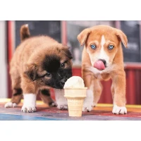 Trefl Puzzle Ice Cream Time 500 Parça