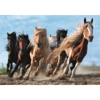 Trefl Puzzle Galloping Horses 1000 Parça