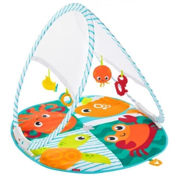 Fisher Price Renkli Dostlar Taşınabilir Jimnastik Merkezi