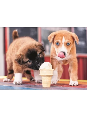 Trefl Puzzle Ice Cream Time 500 Parça