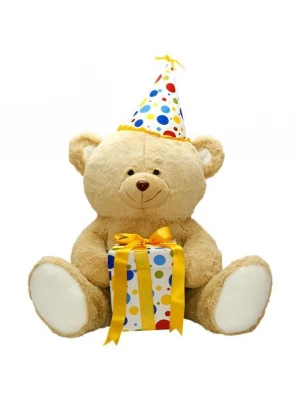Neco Plush Oturan Hediye Kutulu Peluş Ayı 55 cm