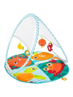Fisher Price Renkli Dostlar Taşınabilir Jimnastik Merkezi