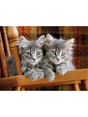Clementoni 500 Parça Yetişkin Puzzle Kittens