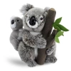 Animals of the World Ağaçta Yavrulu Koala 26cm