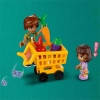 LEGO Friends Organik Manav 41729