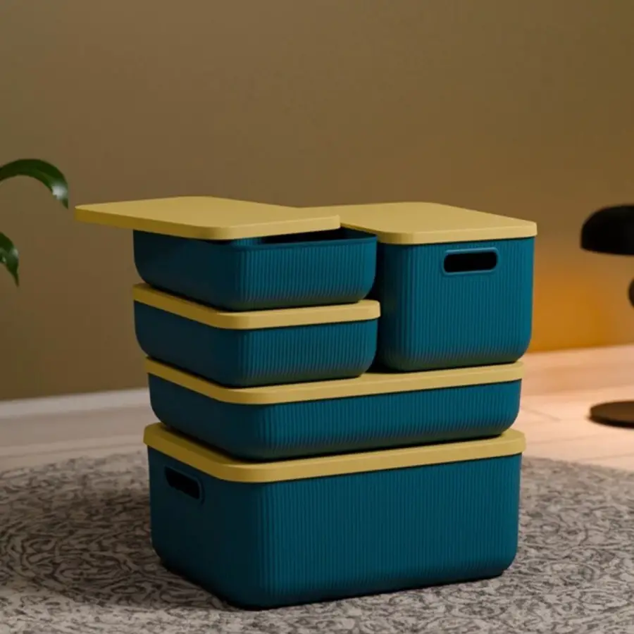 5 Parça Dolap Içi Düzenleyici Kapaklı Sepet Çorap Kıyafet Düzenleyici