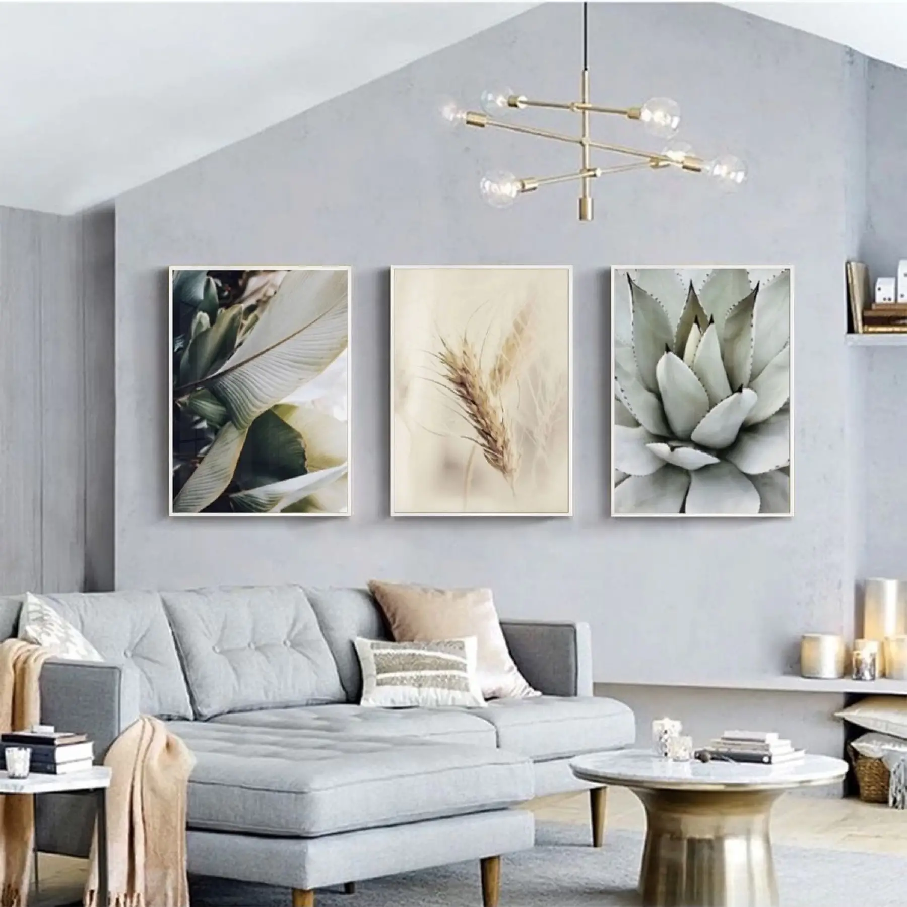 Hasat Zamanı: Sukulent Ve Buğday Başağı Temalı Üçlü Metal Çerçeveli Tablo Seti