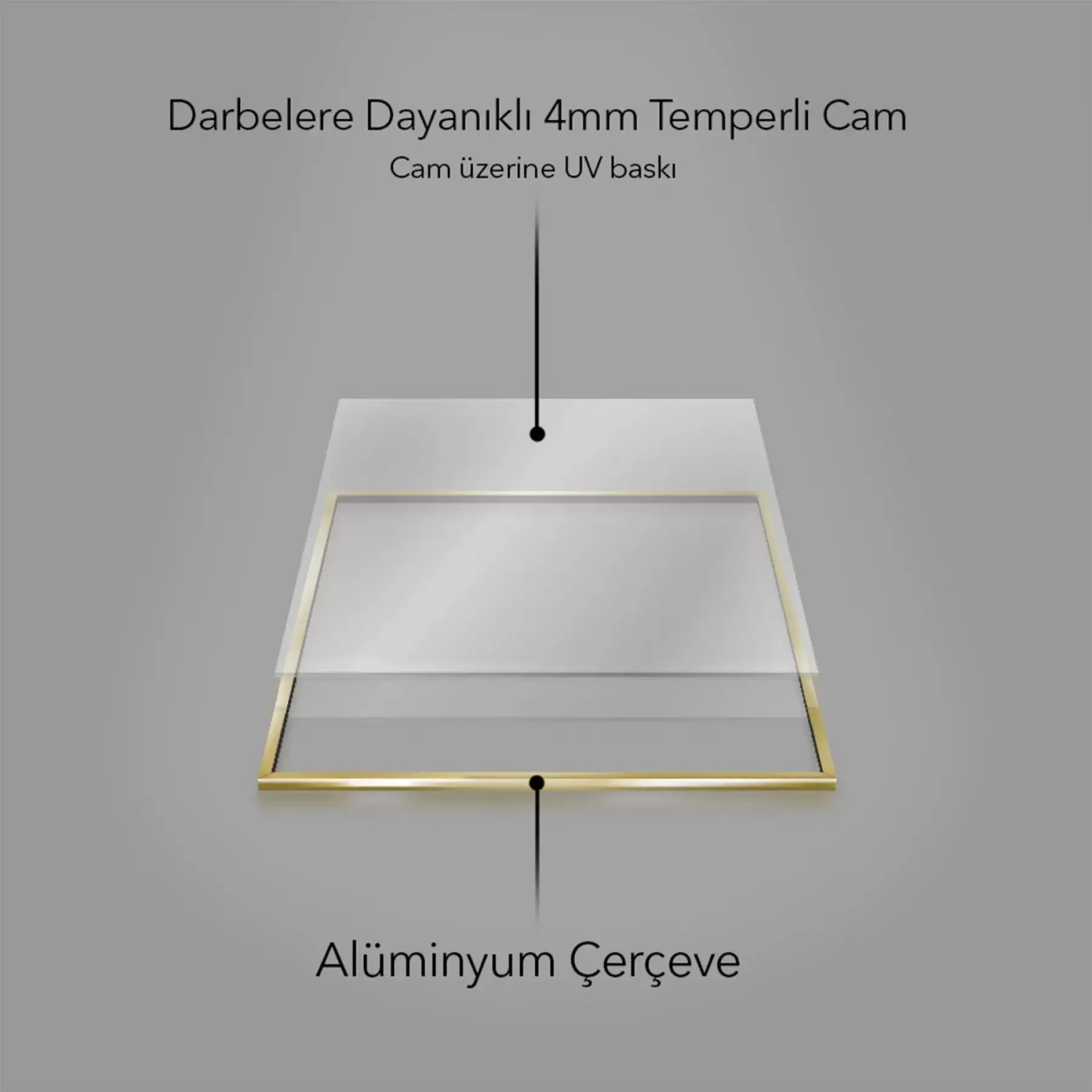 Gold Yaprak Detaylı Tekli Metal Çerçeveli Tablo