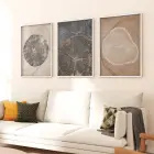 Zamanın İzleri: Çeşitli Ağaç Halkaları Üçlü Metal Çerçeveli Tablo Takımı