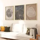 Zamanın İzleri: Çeşitli Ağaç Halkaları Üçlü Metal Çerçeveli Tablo Takımı