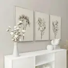 Minimalist Çiçek Eskizli Krem Tonlu Gümüş Metal Çerçeveli Cam Tablo