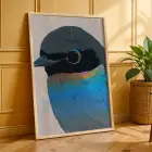 Vibrante Pop Art Kuş ve Hayvanlar Doğal Ahşap Çerçeveli 3lü Tablo Seti