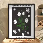 Papatya Botanik Poster Siyah Ahşap Çerçeveli Tablo Bohem Dekorasyonu Obje Ev Aksesuarları Modern