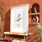 Narin Mor Botanik Tablo Doğal Ahşap Çerçeveli Bohem Duvar Dekoru Poster Obje Ev