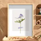 Narin Mor Botanik Tablo Doğal Ahşap Çerçeveli Bohem Duvar Dekoru Poster Obje Ev