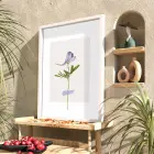 Narin Mor Botanik Tablo Beyaz Ahşap Çerçeveli Bohem Dekorasyonu Poster Obje Ev Aksesuarları