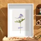 Narin Mor Botanik Tablo Beyaz Ahşap Çerçeveli Bohem Dekorasyonu Poster Obje Ev Aksesuarları