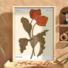 Retro Kızıl Lale Tablosu Doğal Ahşap Çerçeveli Sanat İç Mekan Yatak Koridor Ofis