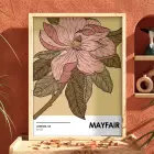 Retro Pembe Çiçek İllüstrasyonu Doğal Ahşap Çerçeveli Tablo Bohem Odası Duvar Dekoru Poster