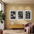 Papatya Bahçesi Minimalist Üçlü 3lü Beyaz Çerçeveli Tablo Seti Resim Çerçevesi Tablo Salon