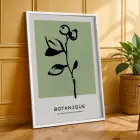 Minimalist Botanik Çizimler 3lü Beyaz Çerçeveli Tablo Seti Bohem Tablo Poster Tablo Resim Çerçevesi