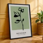 Minimalist Botanik Çizimler 3lü Siyah Çerçeveli Tablo Seti Bohem Tablo Poster Tablo Resim Çerçevesi