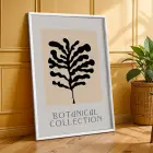Minimalist Botanik Sanat Seti 3lü Beyaz Çerçeveli Tablo Seti Bohem Tablo Duvar Tablo Oda