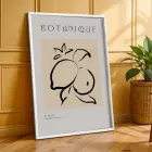 Minimalist Botanik Çizgiler 3lü Beyaz Çerçeveli Tablo Seti Bohem Tablo Poster Tablo Duvar Tablo Ev
