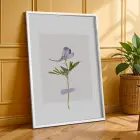 Canlı Botanik Bahçe Üçlüsü 3lü Beyaz Çerçeveli Tablo Seti Bohem Tablo Duvar Tablo Oda Dekorasyonu