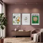 Canlı Botanik Bahçe Üçlüsü 3lü Siyah Çerçeveli Tablo Seti Bohem Tablo Poster Tablo Resim Çerçevesi