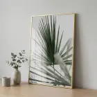 Palmiye Yaprağı Yeşil Gri Tonlar Tekli Gold Metal Çerçeveli Cam Tablo Poster Dekoratif