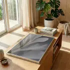Narin Çiçek Nötr Gri Tonlar Tekli Gümüş Metal Çerçeveli Cam Tablo Ev Dekorasyonu