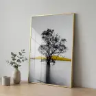 Suda Ağaç Monokrom Sarı Vurgu Tekli Gold Metal Çerçeveli Cam Tablo Poster Dekoratif
