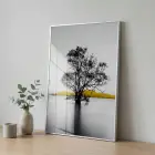 Suda Ağaç Monokrom Sarı Vurgu Tekli Gümüş Metal Çerçeveli Cam Tablo Ev Dekorasyonu