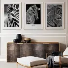 Zebra Detaylı Siyah Beyaz Metal Çerçeveli Tablo Seti Beyaz