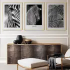 Zebra Detaylı Siyah Beyaz Metal Çerçeveli Tablo Seti Altın