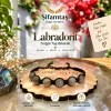 Labradorit Doğal Taş İpli Bileklik