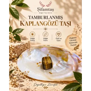 Tamburlanmış Kaplangözü Taşı