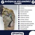 BAĞIŞIKLIK SİSTEMİNİ GÜÇLENDİRİCİ TESBİH