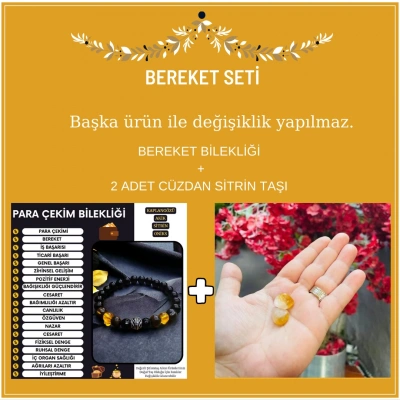 Bereket Seti