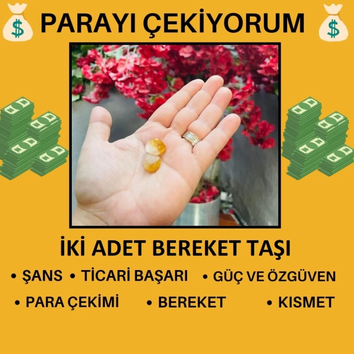 İKİLİ CÜZDAN SİTRİNİ