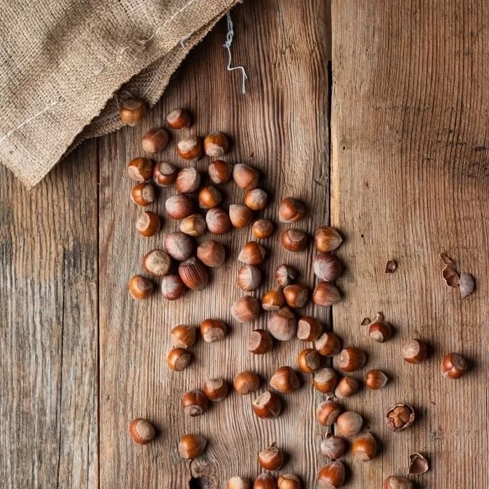 Nutas Kabuklu Fındık – 1 kg Jüt Çuval